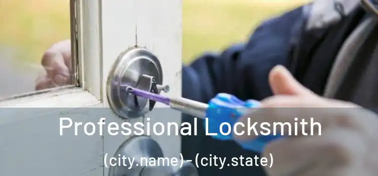 Professional Locksmith (city.name) - (city.state)